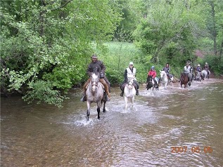 Cheval Rando equitation