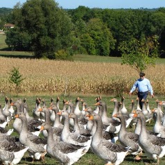 Chartroule Jean-Louis