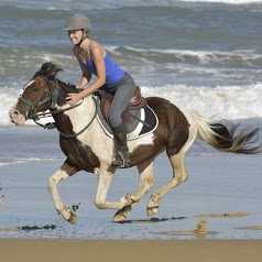 Pony Découverte