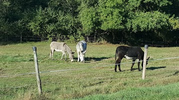 Camping des Varennes